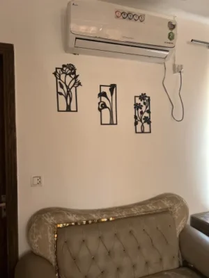 Decorative set of 3 flower frame Wall Shelf MDF (3FFS) photo review
